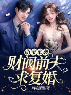 萌宝来袭：财阀前夫求复婚安澜楚墨谦精彩内容在线阅读