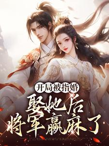 《萧政江预》开局被指婚，娶她后将军赢麻了章节目录在线试读