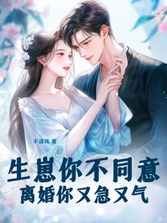 精品小说《穆鸢厉铖》生崽你不同意，离婚你又急又气已完结版全文章节阅读