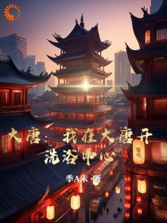 大唐，我在大唐开洗浴中心叶凡李世民_by季A末完整在线阅读