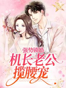 叶轻茶许慎小说_《强势锁婚：机长老公揽腰宠》小说全文在线试读