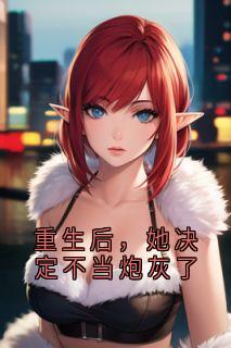 《重生后，她决定不当炮灰了》小说章节目录免费阅读_苏橙段承轩小说阅读