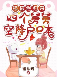 暖宝温以北全文免费阅读_捡破烂归来，四个舅舅空降户口本小说《暖宝温以北》章节完整版