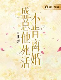 盛总他死活不肯离婚沈南意盛祈年全文在线免费阅读