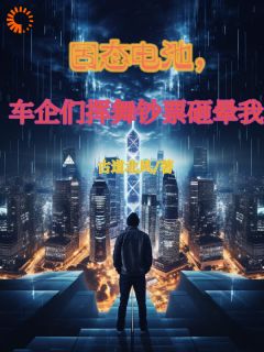 固态电池，车企们挥舞***砸晕我完整目录在线阅读_(林寒邹国栋)_大结局无弹窗