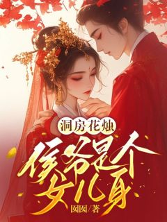 《钱多多蓝田候》洞房花烛，侯爷是个女儿身全文在线阅读__4