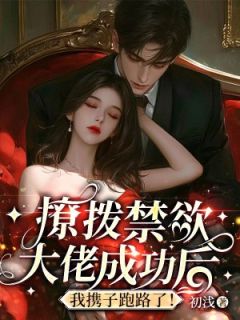 热文《苏瓷陆宴时》撩拨禁欲大佬成功后，我携子跑路了！全文无弹窗阅读