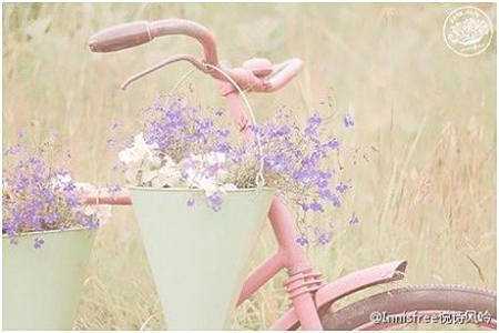 神医爆萌妃全本小说_慕芙蓉皇甫帝督免费章节阅读
