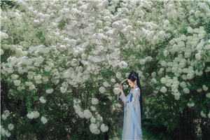 《第一章故人所托》免费小说_凌天叶兰兰叶茹霜全文阅读