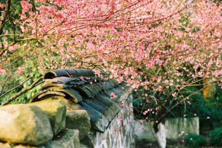 qq空间经典说说大全