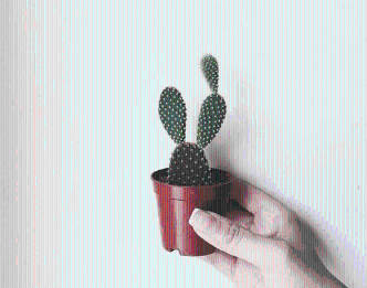 恋爱的说说图片：喜欢一个人的时候就想把自己缩小，塞进他口袋