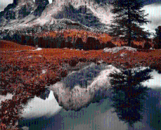 积极向上的正能量的说说图片： 做人要自由不要自狂，自主不要自