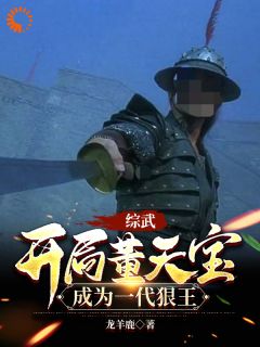 《综武：开局董天宝，成为一代狠王》张凡董天宝章节在线试读