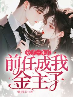 热文《宋清婉霍庭琛》分手三年后，前任成我金主了全文无弹窗阅读