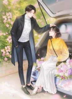 总裁，姜秘书她不做替身了总裁，姜秘书她不做替身了小说_姜鲤霍闻璟在线阅读