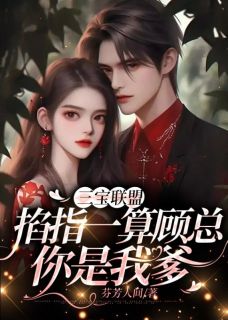主角是三宝联盟：掐指一算顾总你是我爹的小说_《江宁顾景随》_全文在线阅读