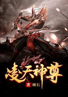 精品《凌天神尊》小说免费试读_叶尘叶芸小说全集无删减全文