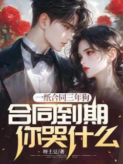 王云峰林如烟小说最新章节免费阅读（完整版未删节）