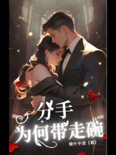 《夏奕程诗雨秦深林奈》小说章节目录免费阅读_分手为何带走碗小说全文
