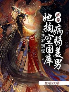 《夏婵傅砚辞》小说大结局在线阅读_抄家别慌！她掏空国库娇养病弱美男小说阅读