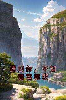 《苏音司经纬》小说章节在线试读_第6章