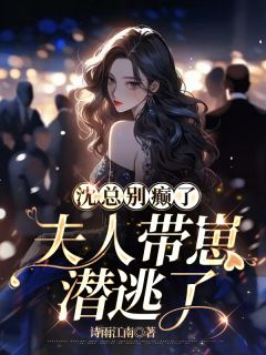 《沈总别癫了，夫人带崽潜逃了》小说章节列表在线试读_第17章_喜欢你上你，是我眼瞎