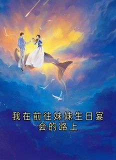 《我在前往妹妹生日宴会的路上》小说最新章节免费阅读（完整版未删节）