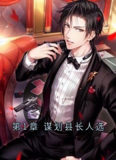 第1章_谋划县长人选小说全文精彩章节免费试读（厉元朗水婷月）