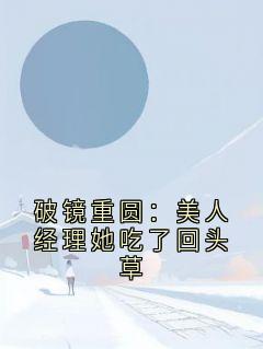 陆枕风池澜》精彩章节列表在线试读_破镜重圆：美人经理她吃了回头草小说