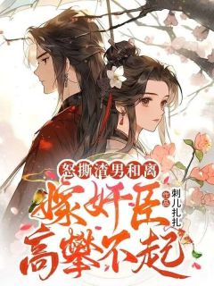 怒撕渣男和离，嫁奸臣高攀不起全文免费阅读_苏绛雪陆焕小说《怒撕渣男和离，嫁奸臣高攀不起》章节完整版