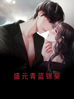 《蓝锦葵盛元青》盛元青蓝锦葵全文精彩阅读