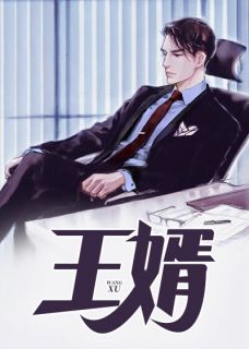 王婿免费阅读_陈华杨紫曦的小说免费试读