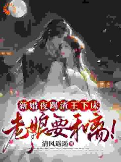 《宋阮穆修泽》新婚夜踢渣王下床，老娘要和离！章节精彩试读