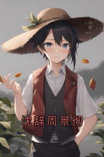《周景彻沈辞》小说全文精彩试读_《周景彻沈辞》最新章节目录