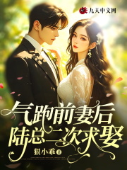 《气跑前妻后，陆总二次求娶》小说章节目录精彩阅读_乔语陆京宴小说全文