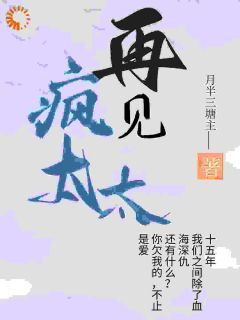《再见疯太太》小说全文精彩章节在线阅读（高放锦淮炙）