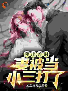 《我出差时，妻被当小三打了》小说章节精彩阅读_陈海明白浅小说阅读