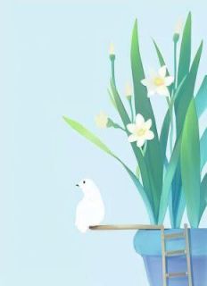 《宁宁陆明》我死在结婚纪念日那天完结版免费试读