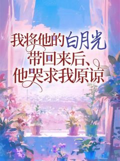 《傅延风蓝依依暖禾》我将他的白月光带回来后，他哭求我原谅全文在线阅读