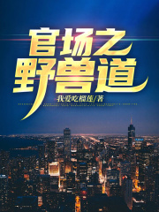 小说官场之野兽道陈景天赵盼夏章节免费免费试读地址