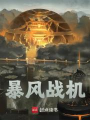 楚薪魏祥主角暴风战机全文精彩内容在线试读