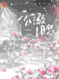 《沉溺旧梦》沈枳夏孟淮序章节列表免费试读