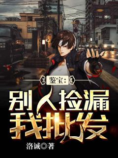 鉴宝：别人捡漏我批发免费阅读_陈友好魏奉贤在线阅读