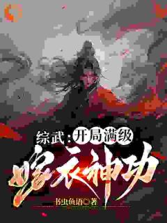 《夏默夏皇》综武：开局满级嫁衣神功全文在线阅读_第4章