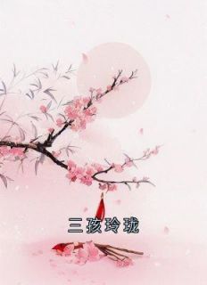 宁芷沈若竹谢及元小说_第4章全文精彩试读