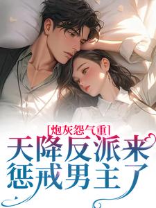 《炮灰怨气重！天降反派来惩戒男主了》小说章节在线阅读_林白宛南浔小说阅读