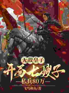 无敌皇子：开局七嫂子，私兵80万主角朱文朱彬全文章节免费试读
