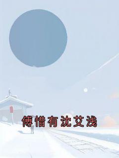 《傅惜有沈艾浅》傅惜有沈艾浅小说全部章节目录