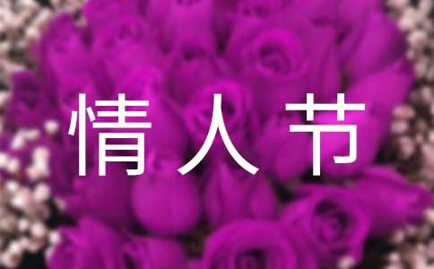 2024年精选暖心情人节祝福语25条