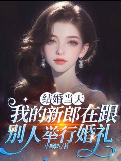 《结婚当天，我的新郎在跟别人举行婚礼》婉婉秦舟淮白清知全文在线试读